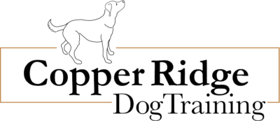 Copper Ridge Dog Training